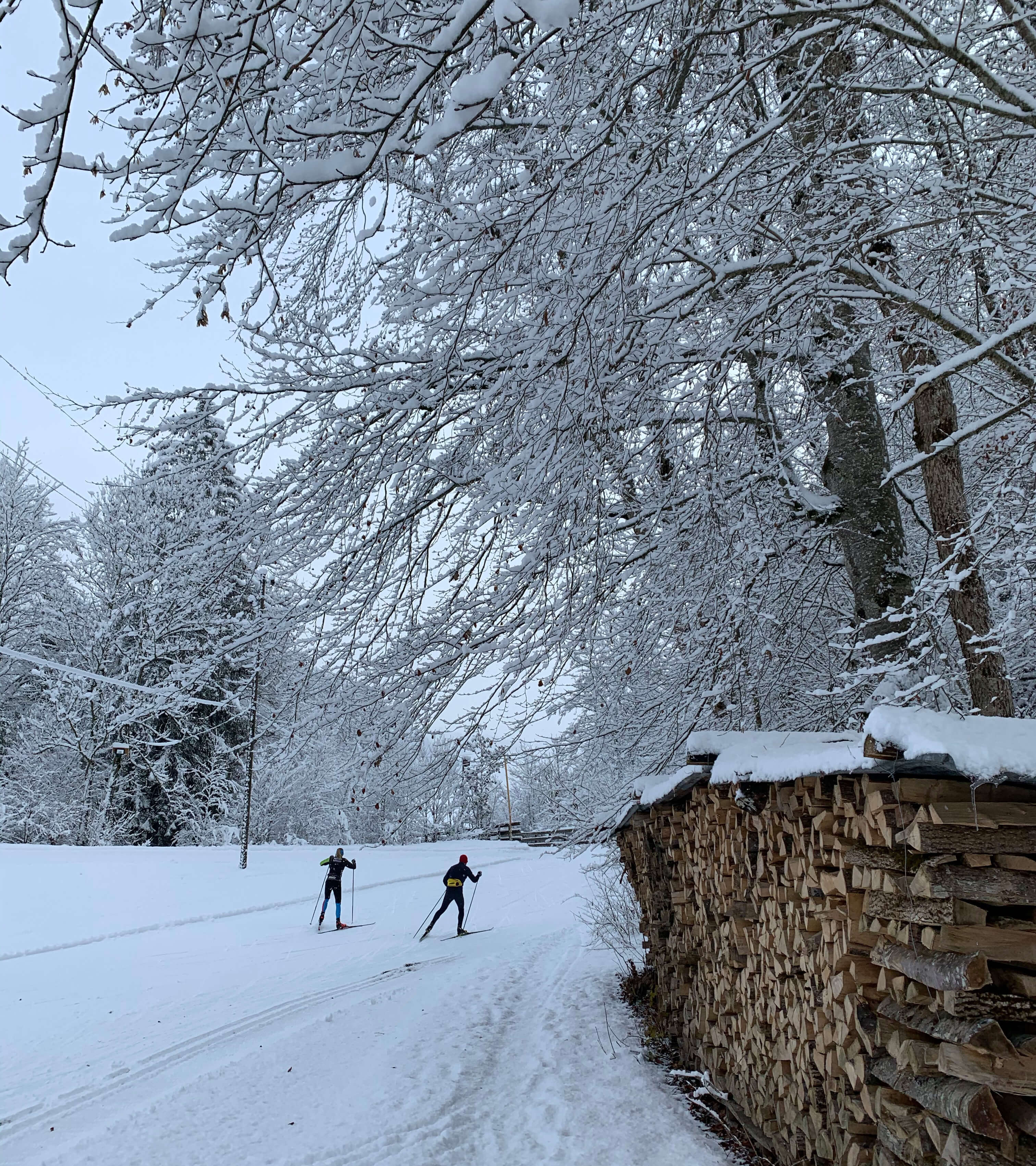 Activités sportives en montagne