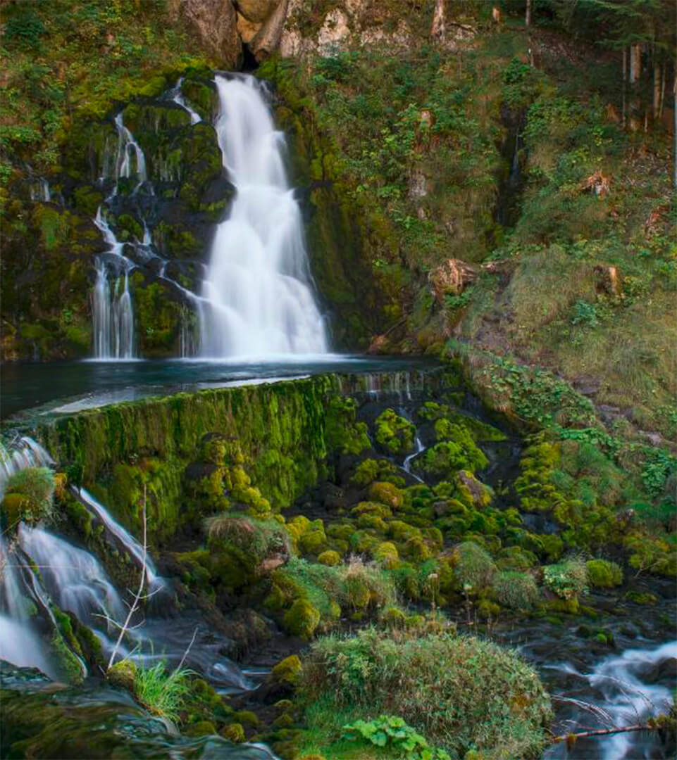 Se détendre en nature