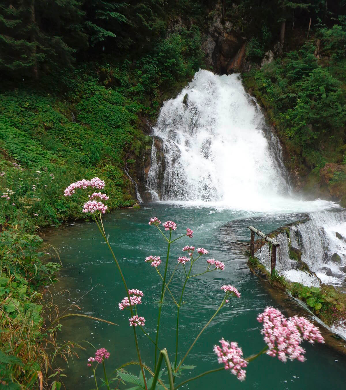 Se détendre en nature