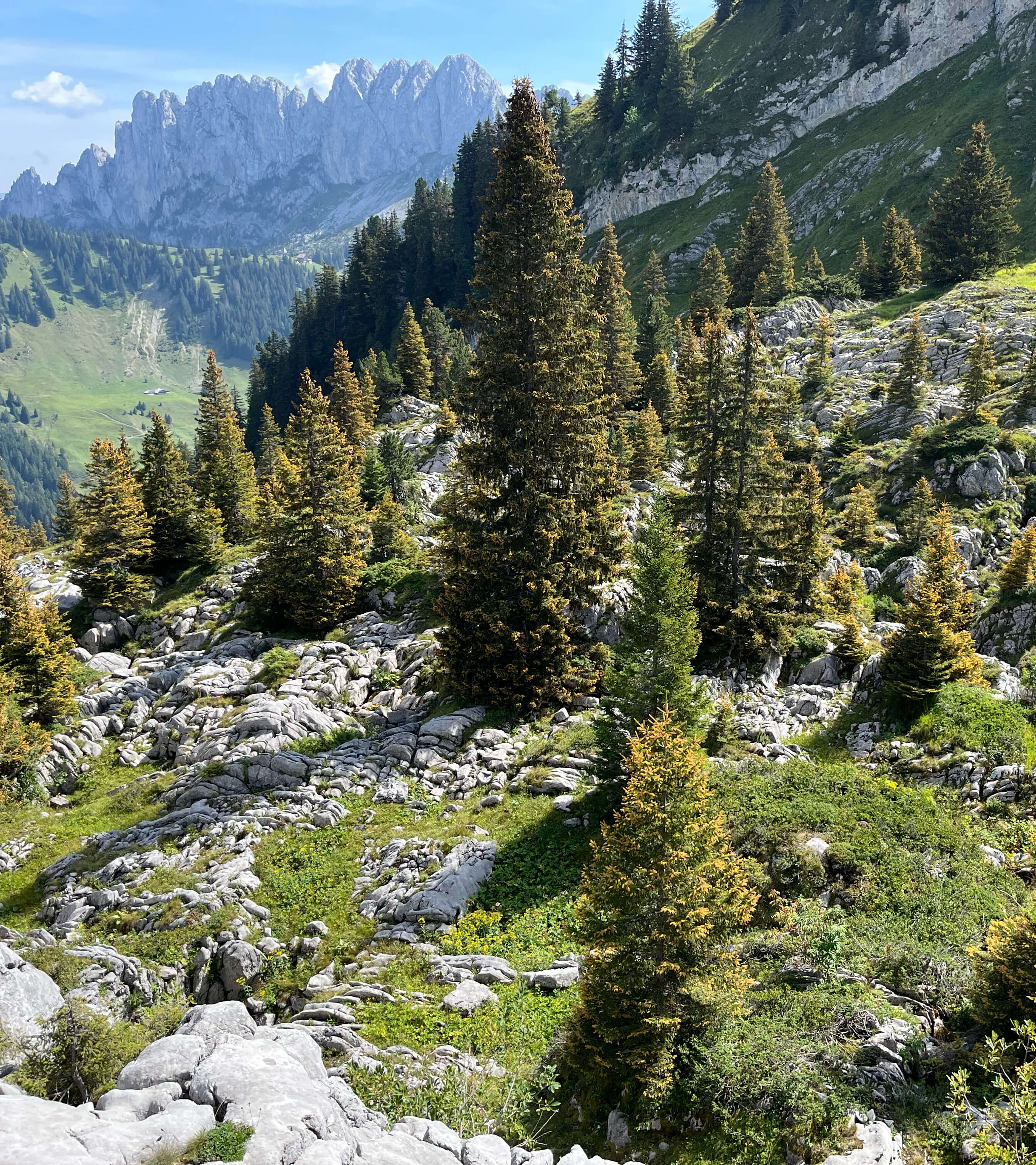 Se ressourcer en nature