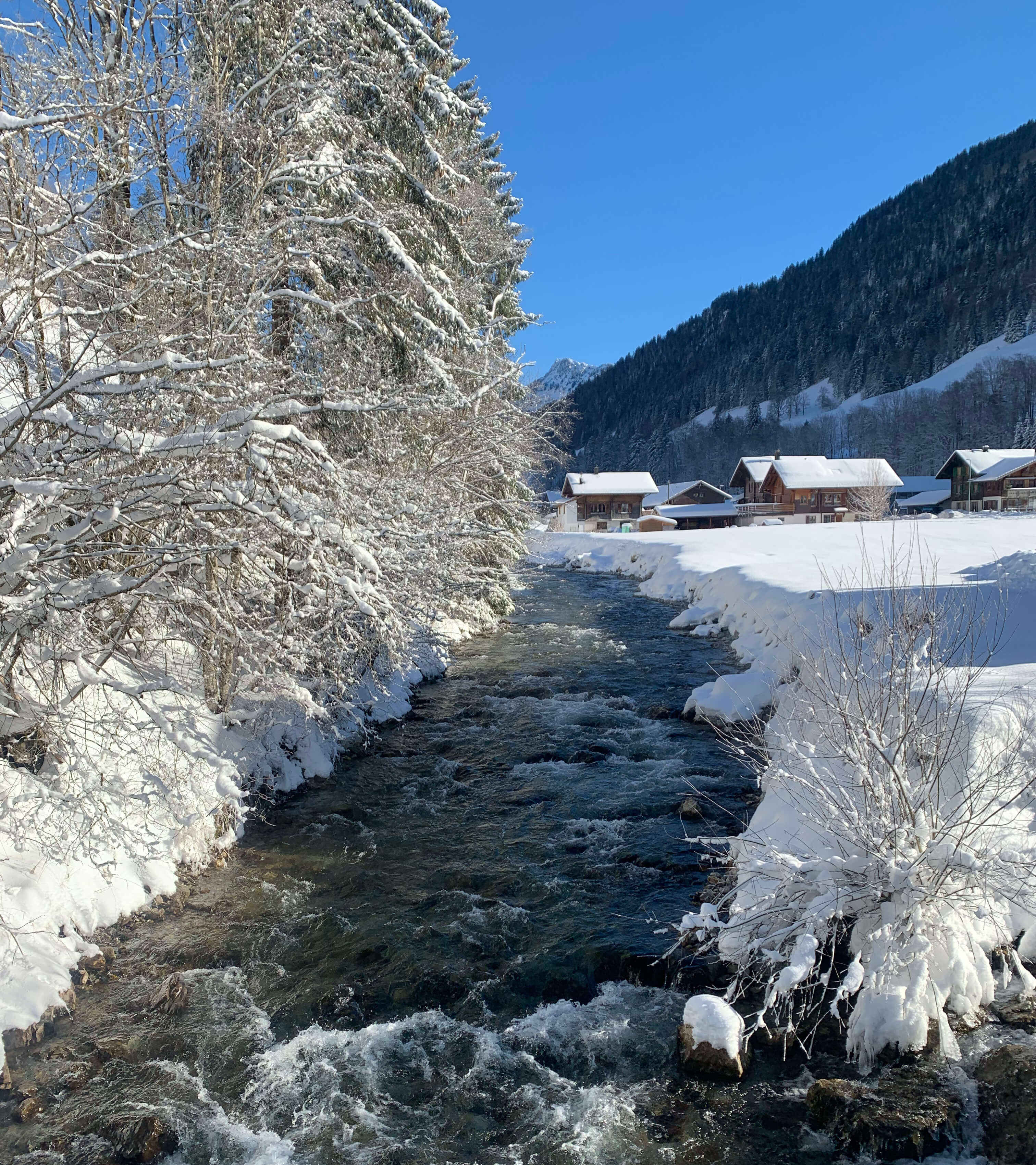Se ressourcer en nature